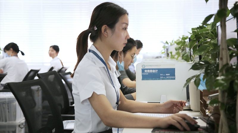 资质代办合同中的条款，应当符合以下要求：
